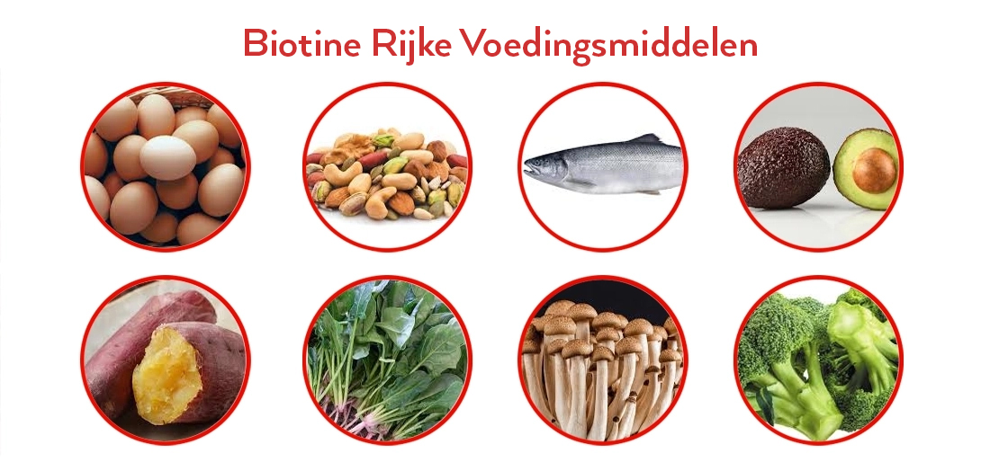 Biotine resultaten na 1 week 1 biotine-rijke-voedingsmiddelen